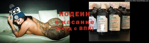 ПСИЛОЦИБИНОВЫЕ ГРИБЫ Вязники