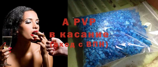 ПСИЛОЦИБИНОВЫЕ ГРИБЫ Вязники