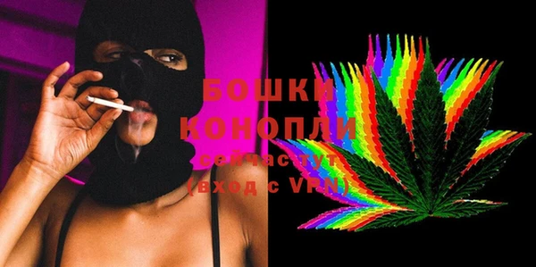 ПСИЛОЦИБИНОВЫЕ ГРИБЫ Вязники