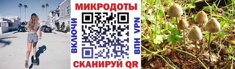 маркетплейс какой сайт  Заводоуковск  Галлюциногенные грибы Psilocybine cubensis 
